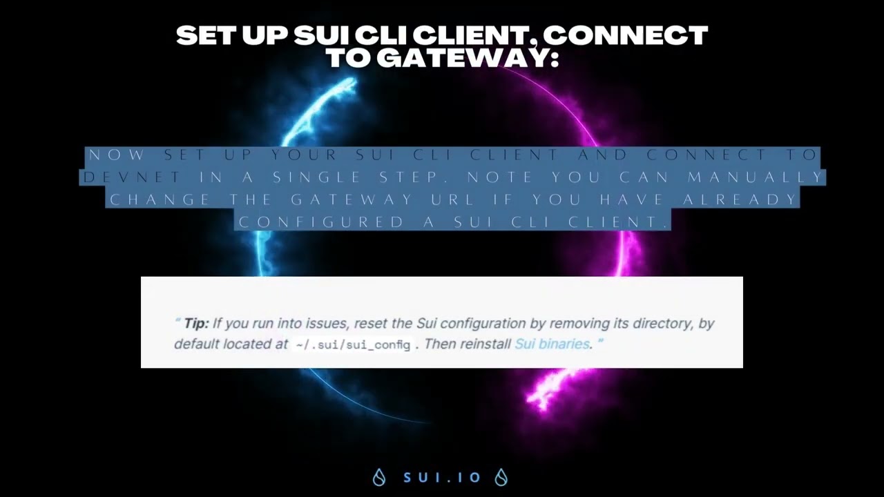 Experiment with Sui Devnet