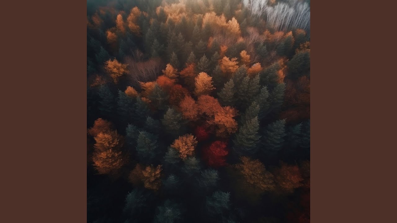 Natural Stillness