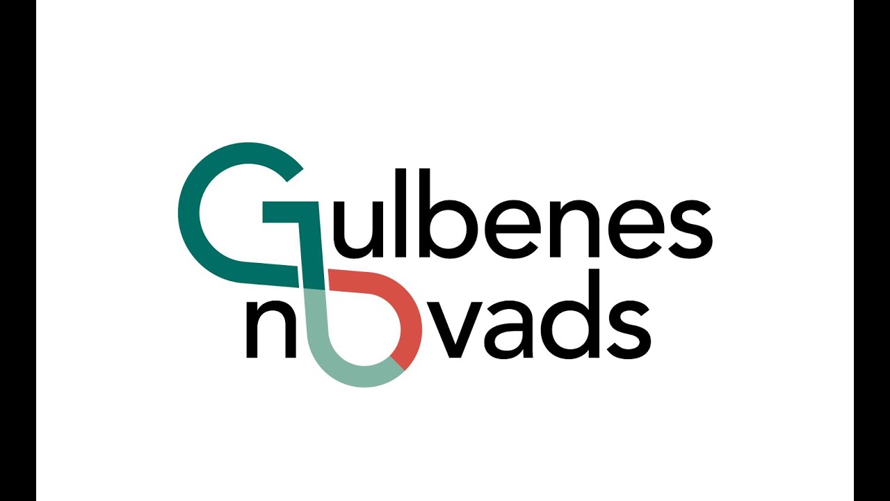 Gulbenes novada domes sēde 05.02.2026.