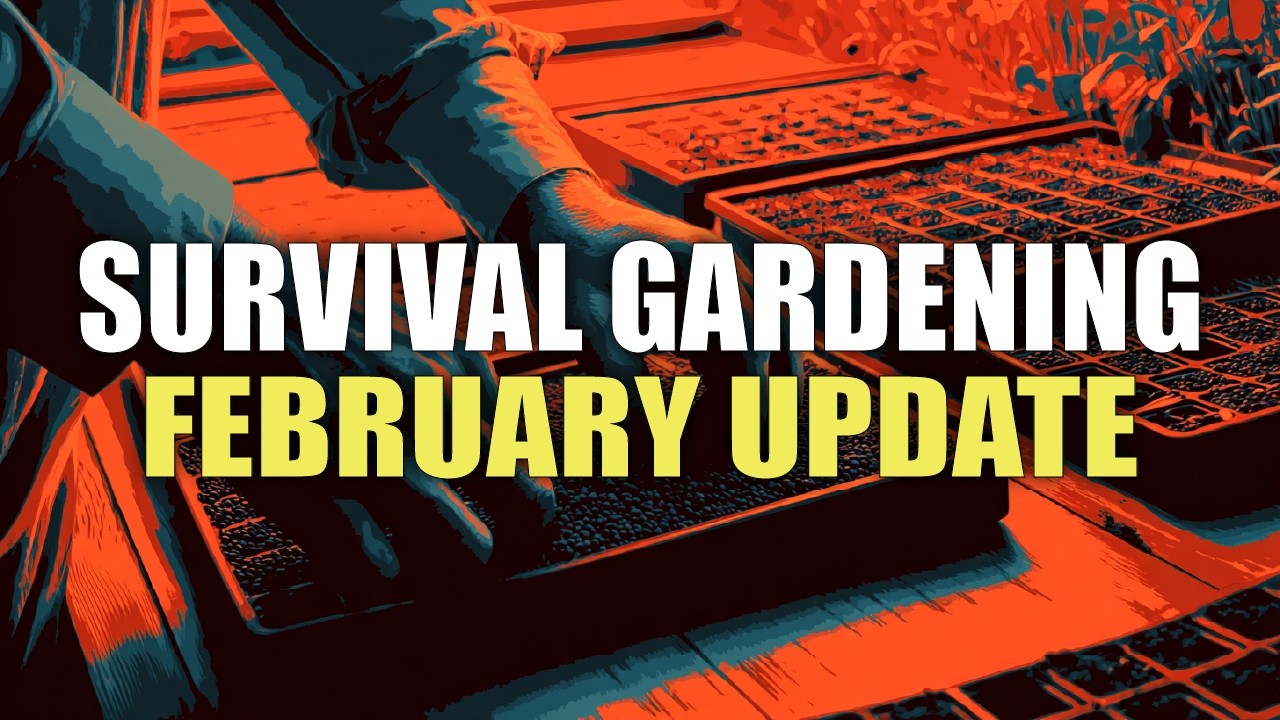 February Gardening for Preppers | What You Can Plant Right Now by Climate Zone