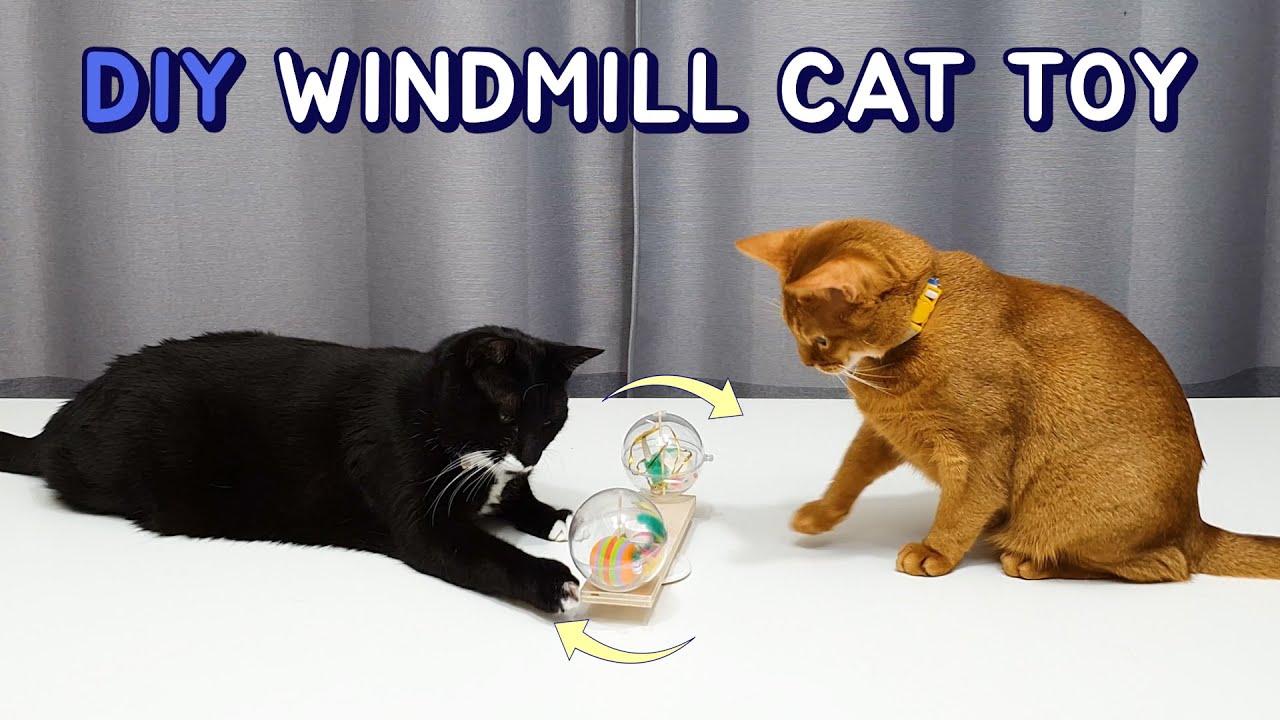 DIY Windmill Cat Toy