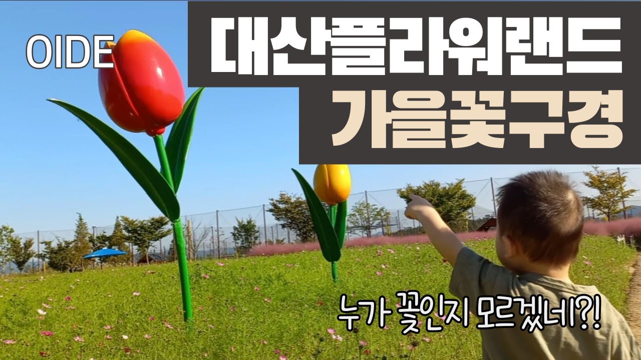 만 1살 아기와 여행 / / 창원 대산플라워랜드 / / 가을 꽃구경 1탄