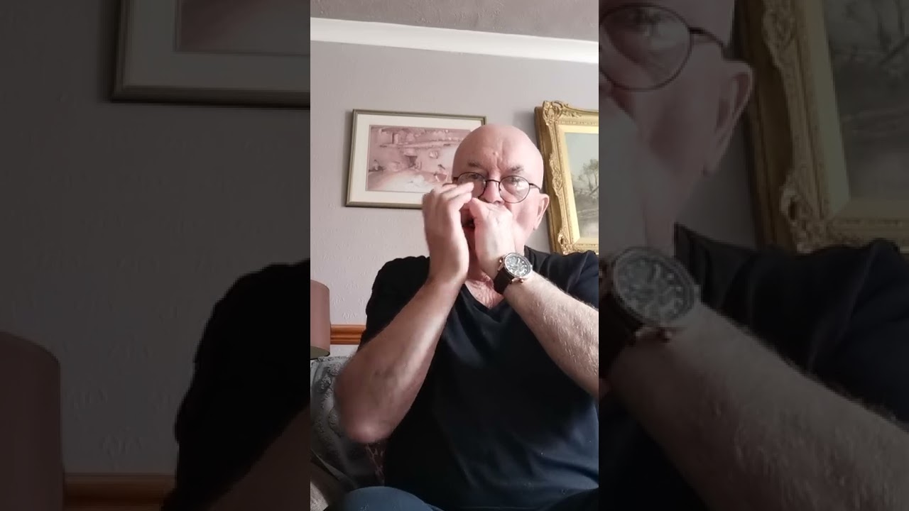 Evans Shuffle/Honeydripper - John Grills - Harmonica