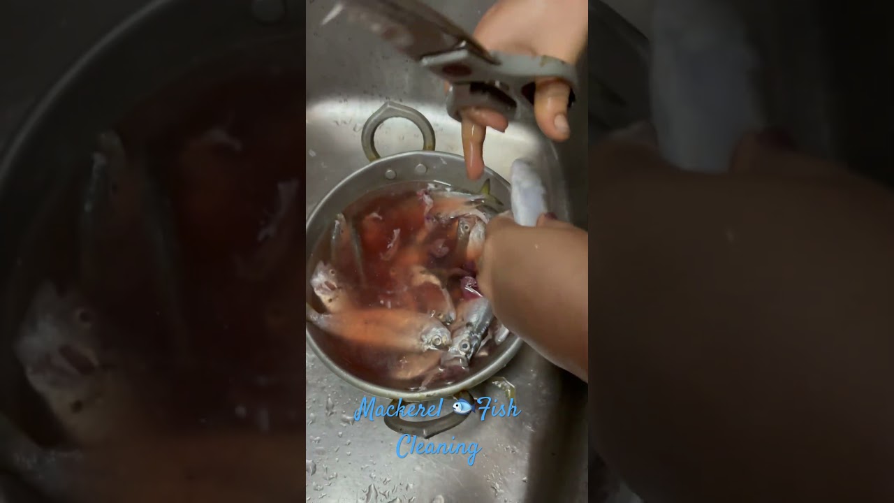Quick and easy mackerel cleaning: step-by-step guide for perfectly prepped fish! bangda fish cutting