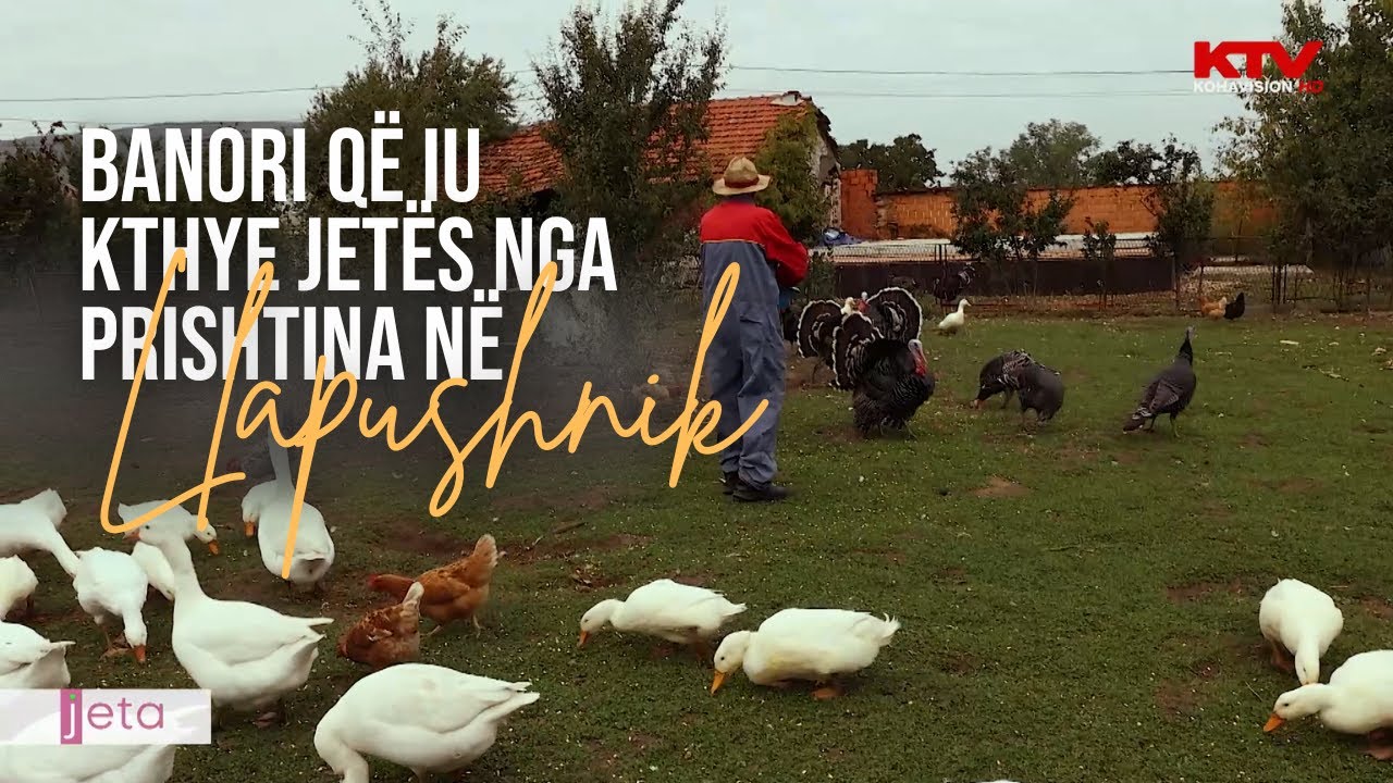 Me shpezë e ushqim bio, banori që iu kthye jetës nga Prishtina në Llapushnik | JETA | 31.10.2025