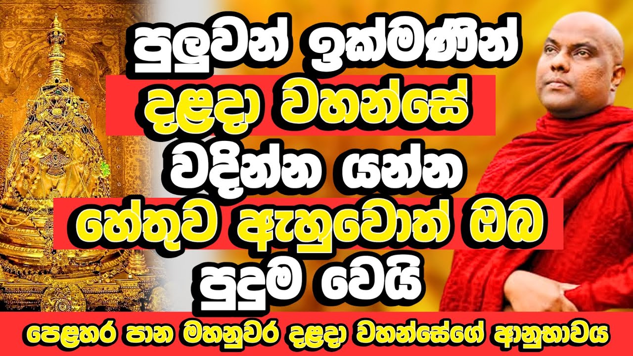 පුලුවන් ඉක්මණින් මහනුවර ශ්‍රී දළදා වහන්සේ වදින්න යන්න​| Galigamuwe Gnanadeepa Thero | Dalada Wahanse