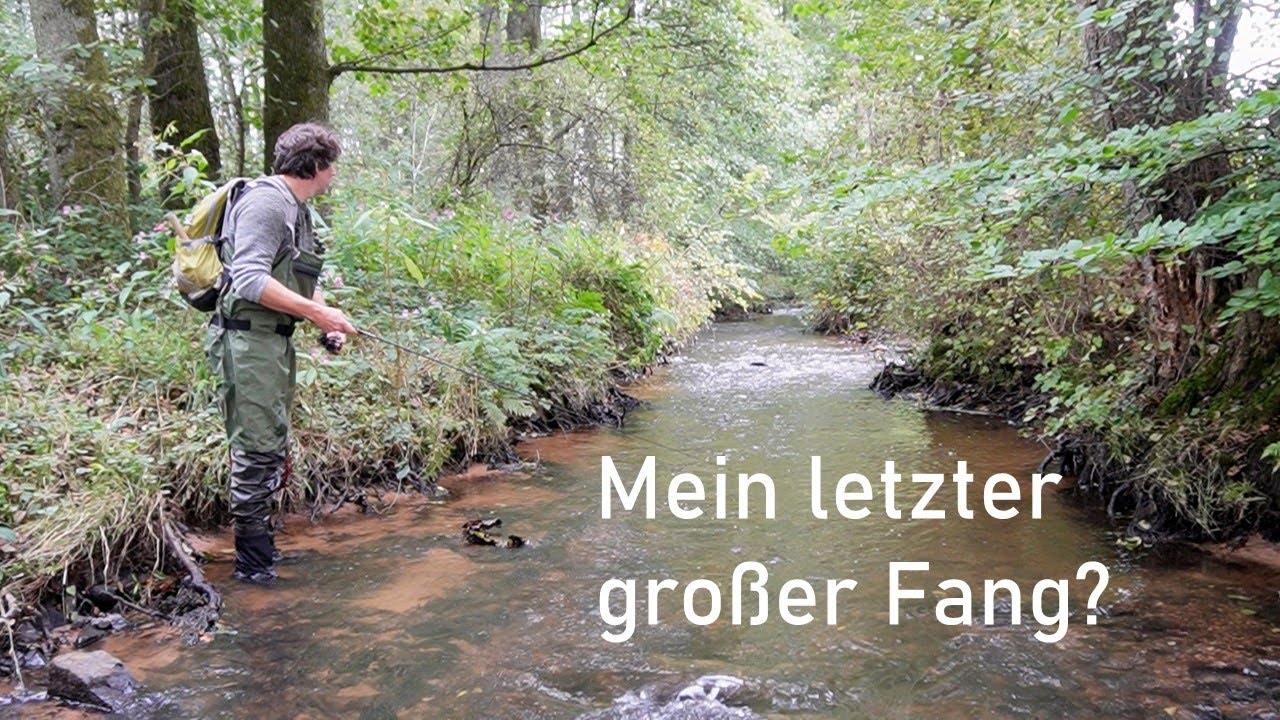 Saisonabschluss! Gibt es Fische in diesem WINZIGEN Bach?