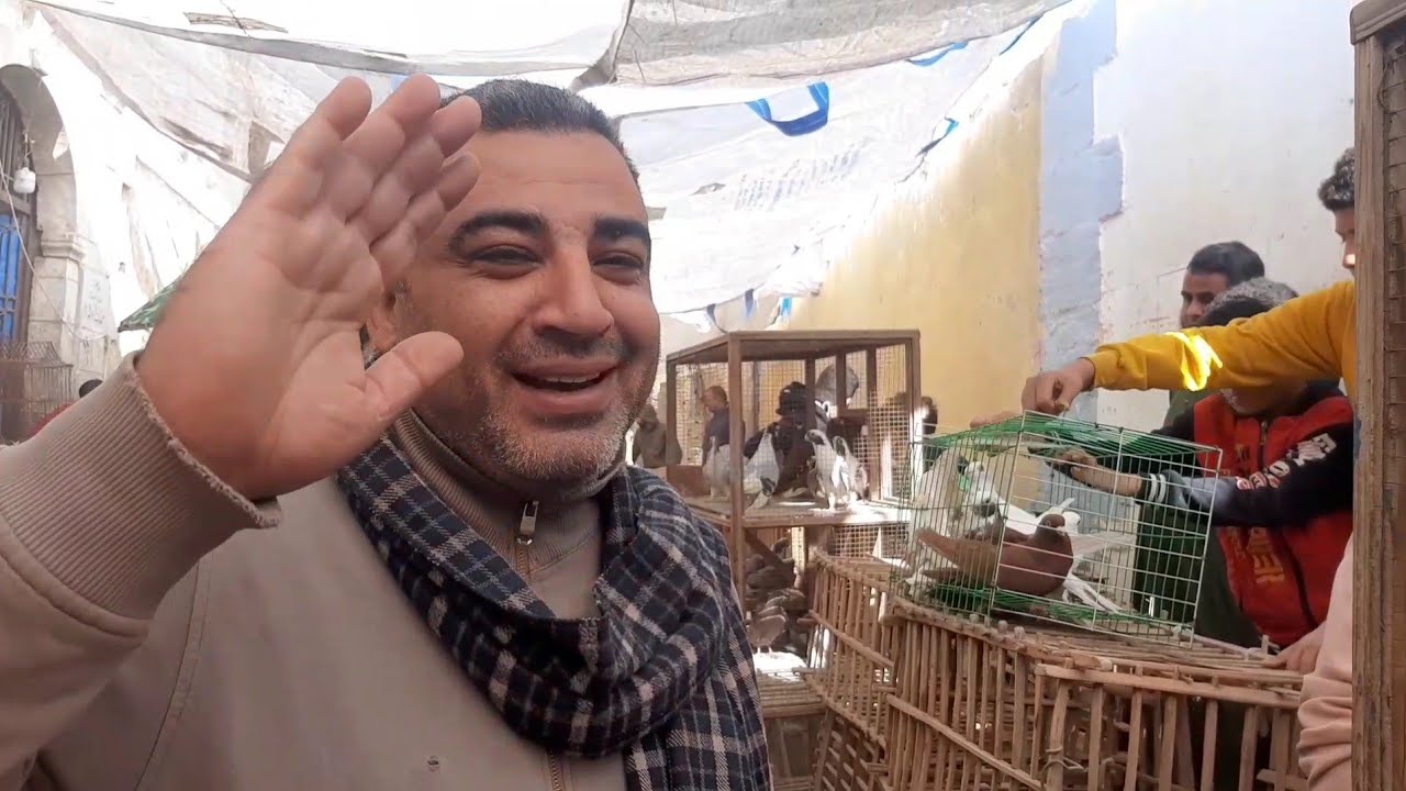 سوق الحمام يوم الجمعه يوم2023/1/13من سوق السيده عائشه او التونسي والسوق جامد جدا ولاسعار#abdo_saker