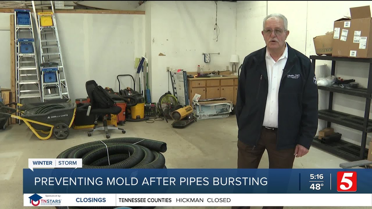 How to prevent mold in your house after your pipes burst