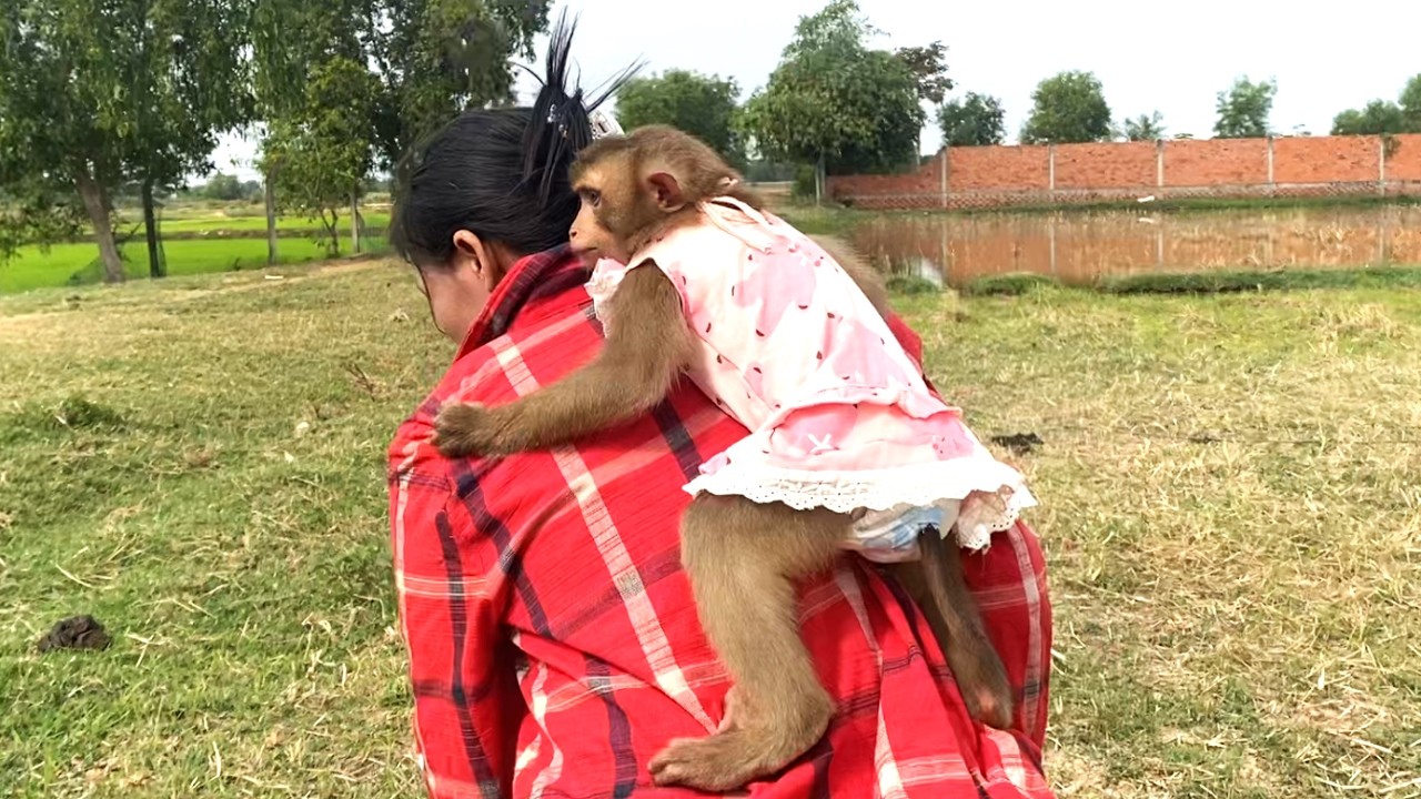 Amazing!! Smart daughter LIORA rides on her mom's back while she plays and watches the cows outside