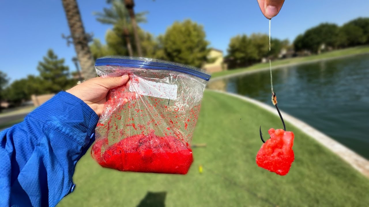 Is Jell-O Chicken Still a Relevant Fishing Bait?