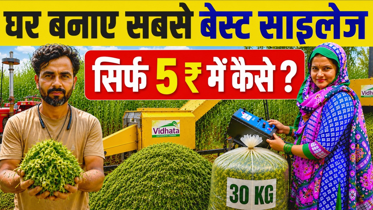 घर पर साइलेज बनानेवाली मशीन से 