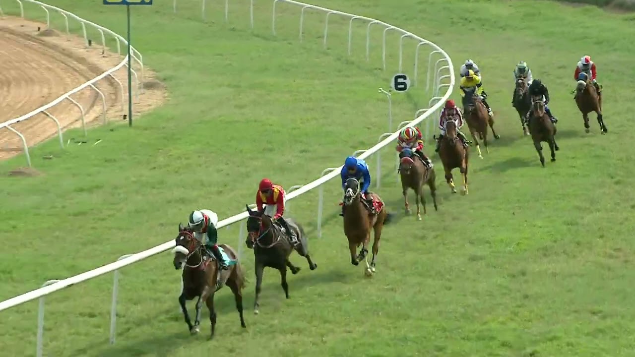FREDERIKA : THE EPSOM PLATE DIV I (02)