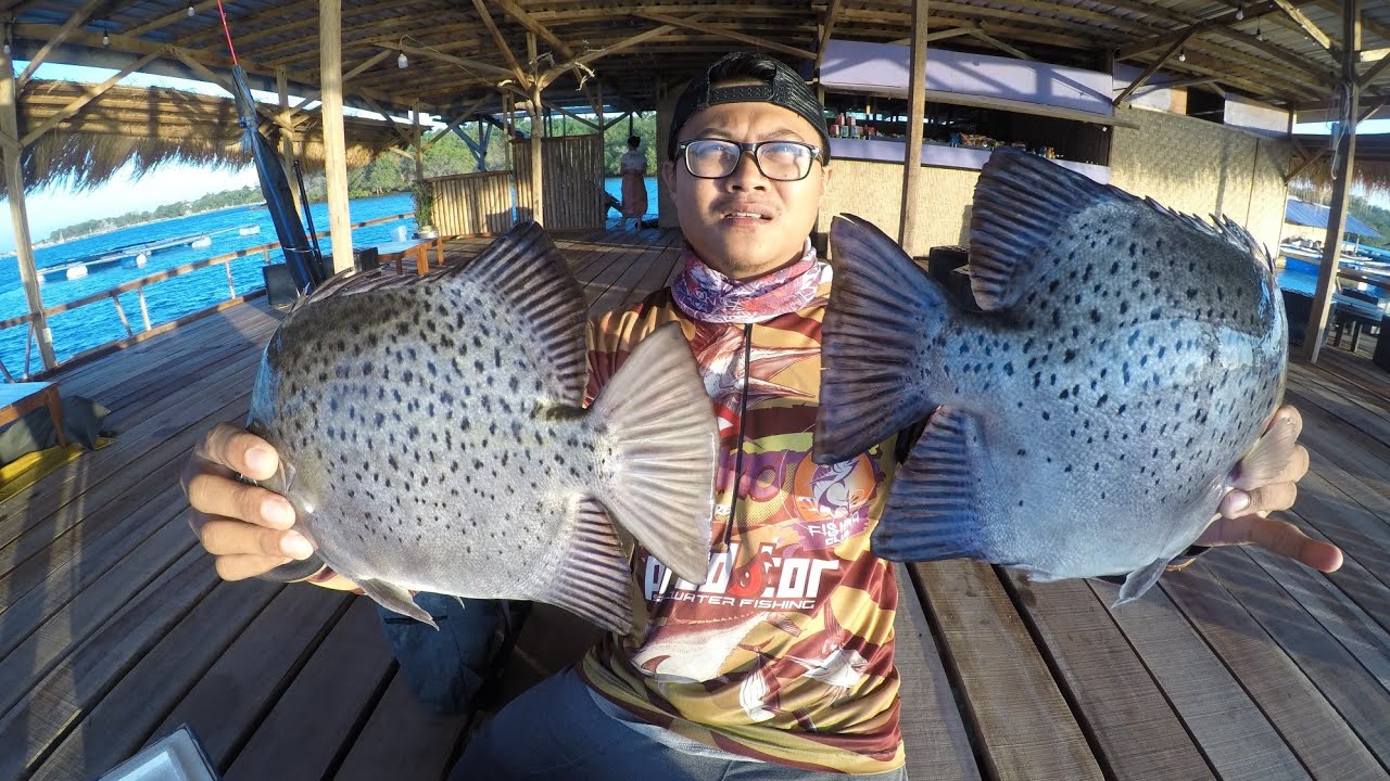mancing ikan kiper di cafe apung yang VIRAL, telong-elong lombok timur