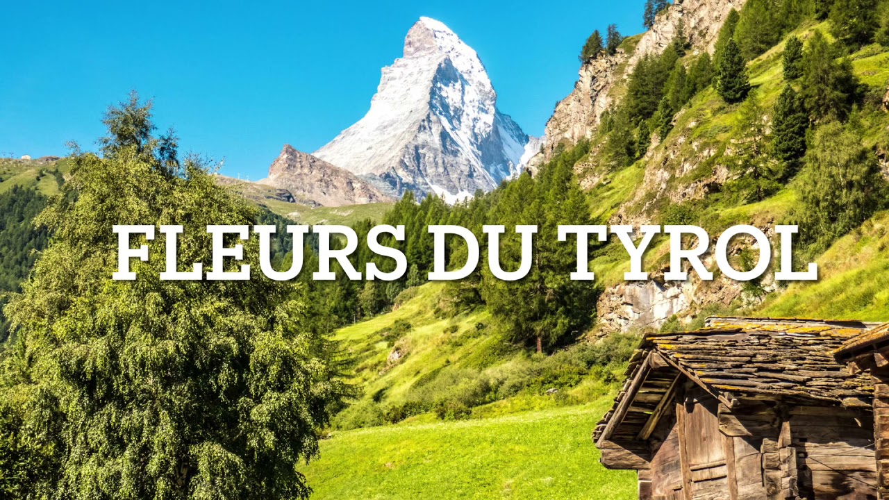 Fleur du Tyrol par Jeannot Christinaz