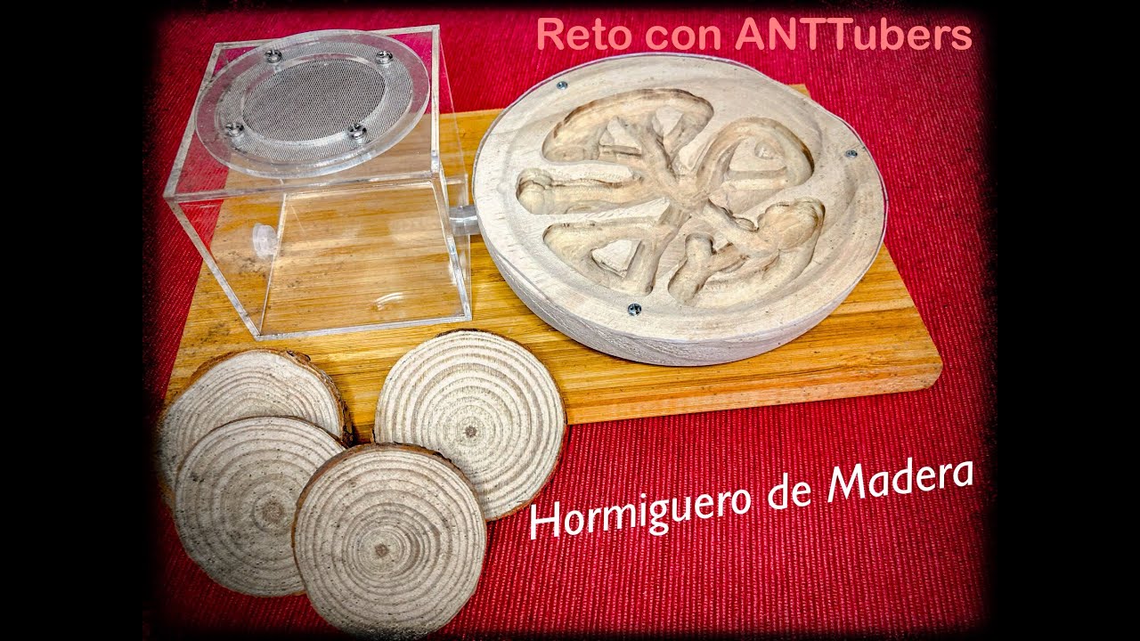 Hormiguero de Madera - Reto con ANTTubers #reto #retos #retosdivertidos #hormiguero #hormigueros