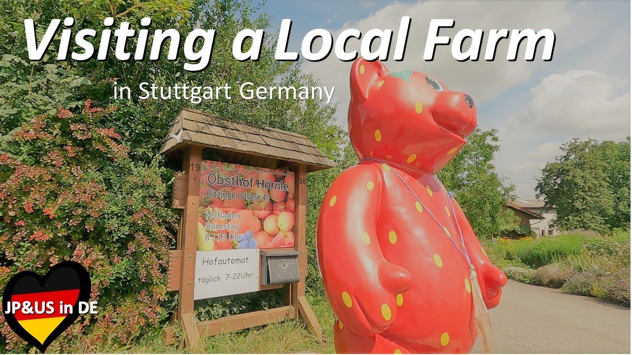 【Stuttgartドイツ】🇩🇪A lovely farm in Stuttgart Germany / Run to the German farm!