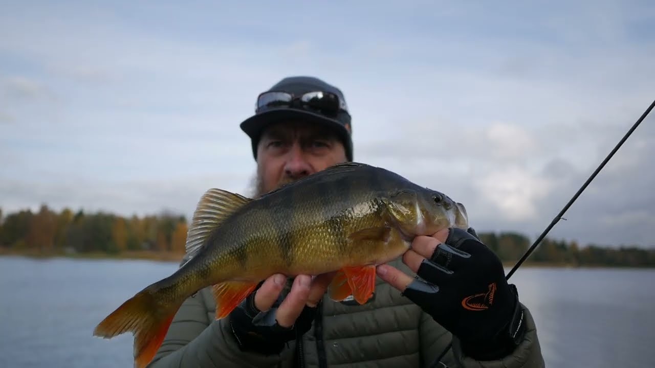 Tautos spiningai...Crazy Fish