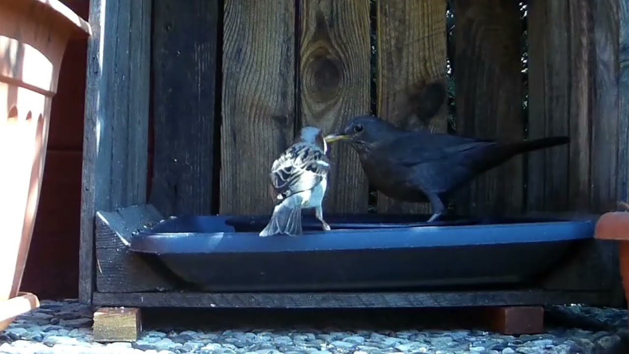 Ein bisschen dies, ein wenig das