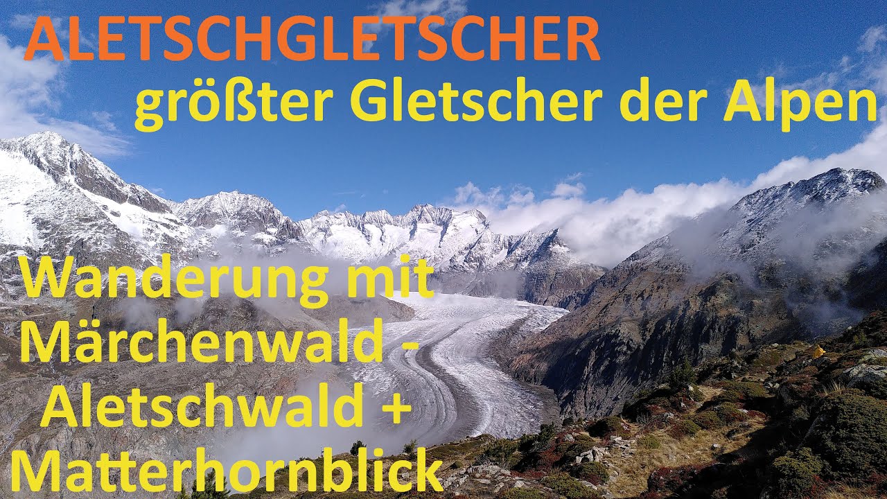 Panorama-Wanderung zum Aletschgletscher mit Aletschwald + Matterhorn-Blick von Riederalp im Wallis