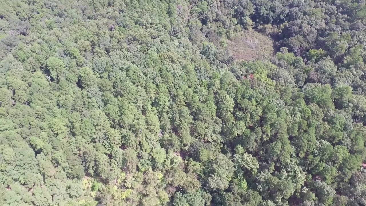 The Sinks Western Howell County MO aerial footage