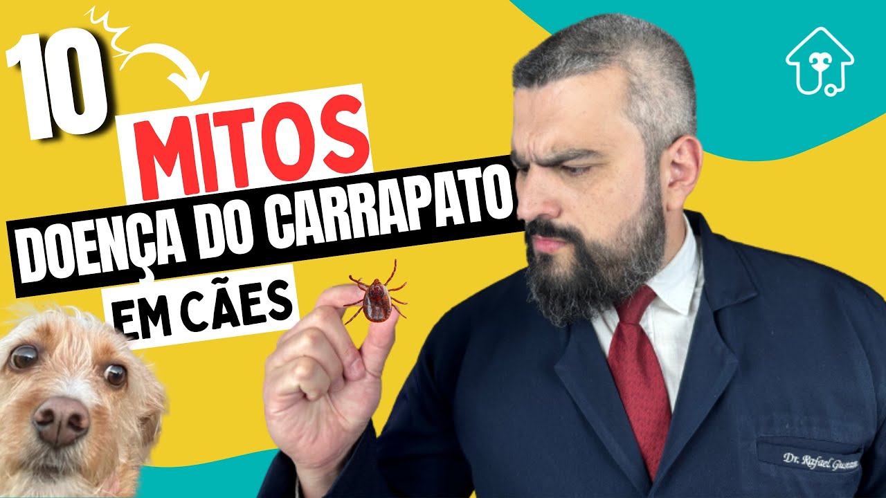 MITOS SOBRE A DOENÇA DO CARRAPATO EM CÃES: FIQUE POR DENTRO!