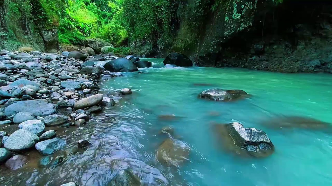 Forest River Flowing Water, Mountain Stream Audio, Sleeping