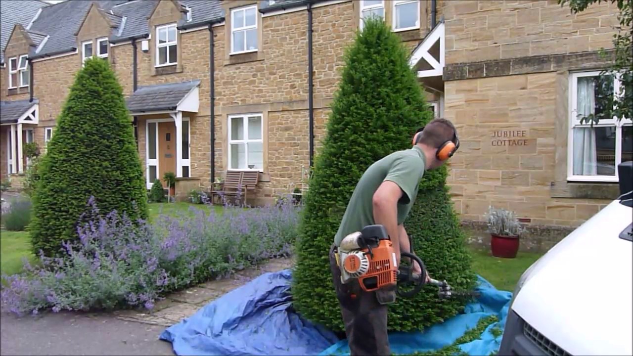 Pruning session
