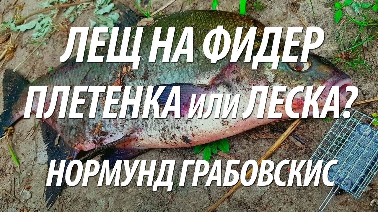 ФИДЕРНАЯ РЫБАЛКА НА ЛЕЩА С НОРМУНДОМ ГРАБОВСКИСОМ. СОВЕТЫ ПО ФИДЕРНОЙ СНАСТИ ДЛЯ ЛОВЛИ РЫБЫ ЛЕЩ