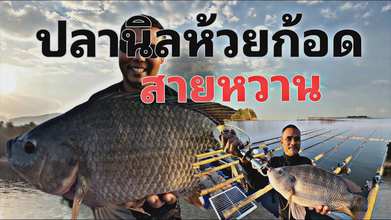 ตกปลานิลห้วยก้อด สายหวานคือความหวัง #โก๋เจ้าพระยา