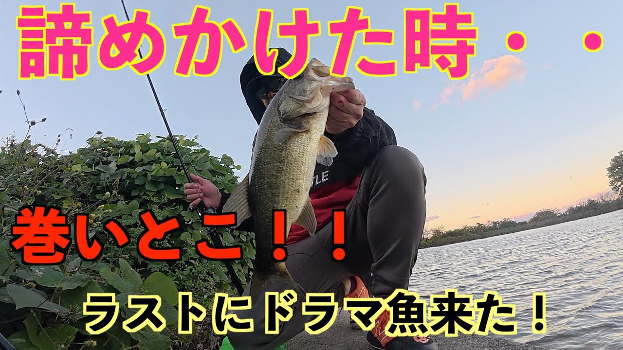 【五三川】秋の気難しいタイミングに！