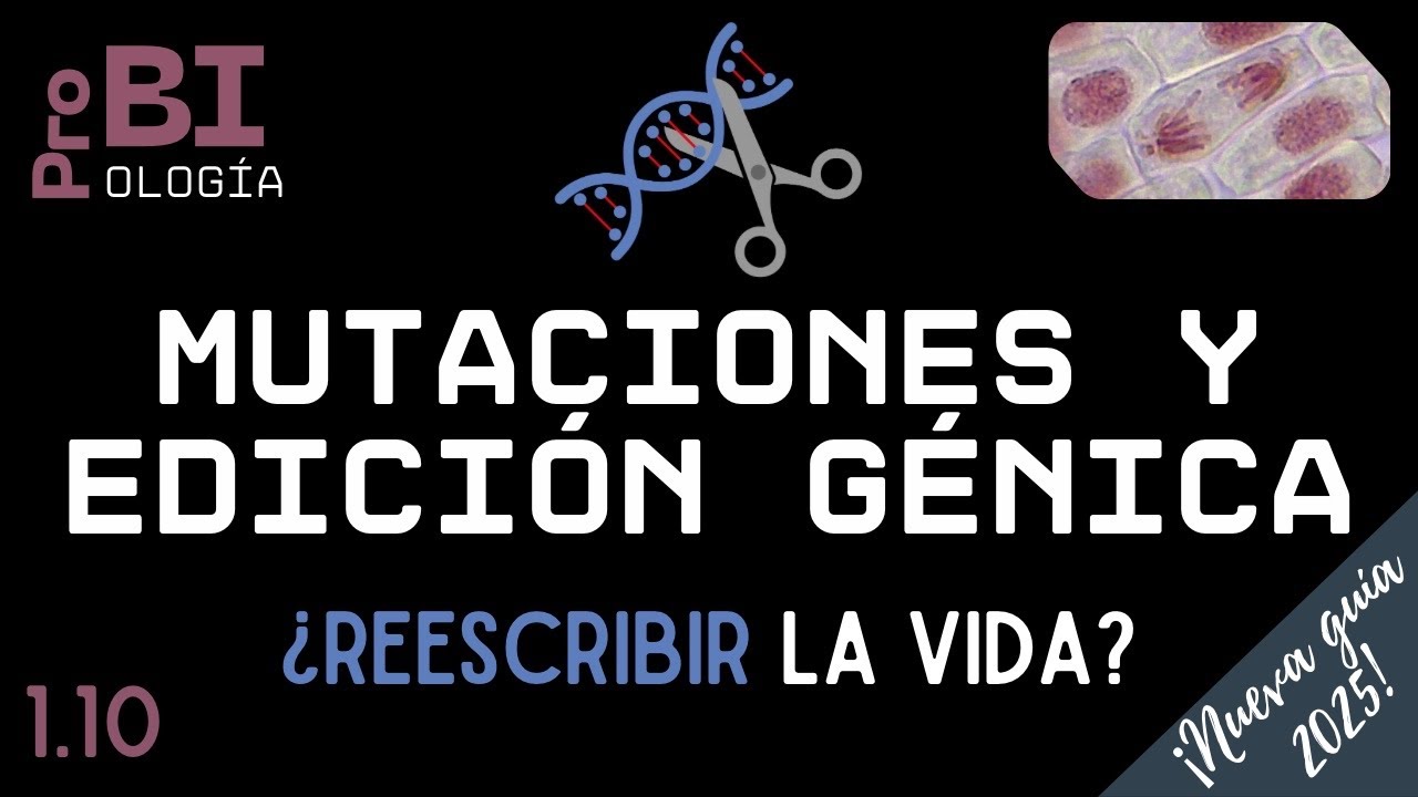 1.10.MUTACIÓN Y EDICIÓN GENÉTICA (NM) Bachillerato Internacional Tema D1.3