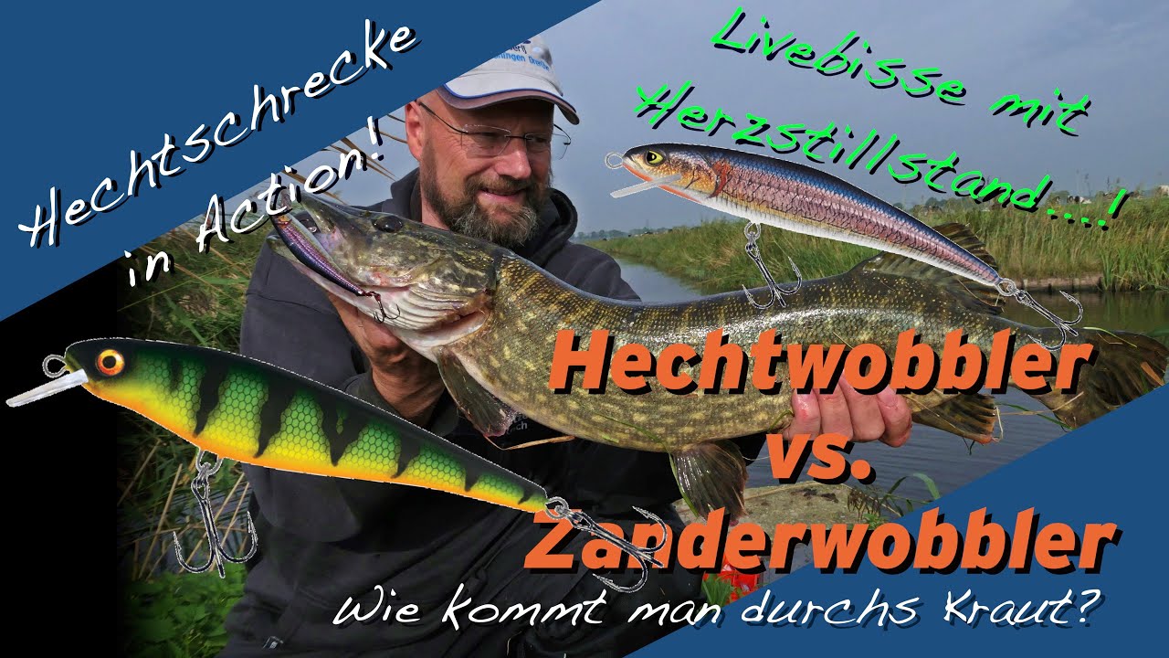 Matze Koch, die Hechtschrecke