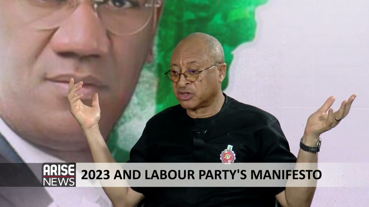 Labour party's manifesto: Leadership delivered through seven priorities - Prof. Pat Utomi