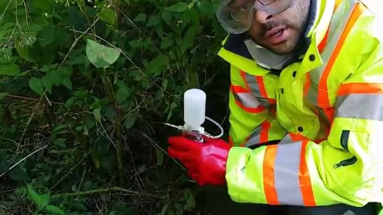 Japanese Knotweed Injector