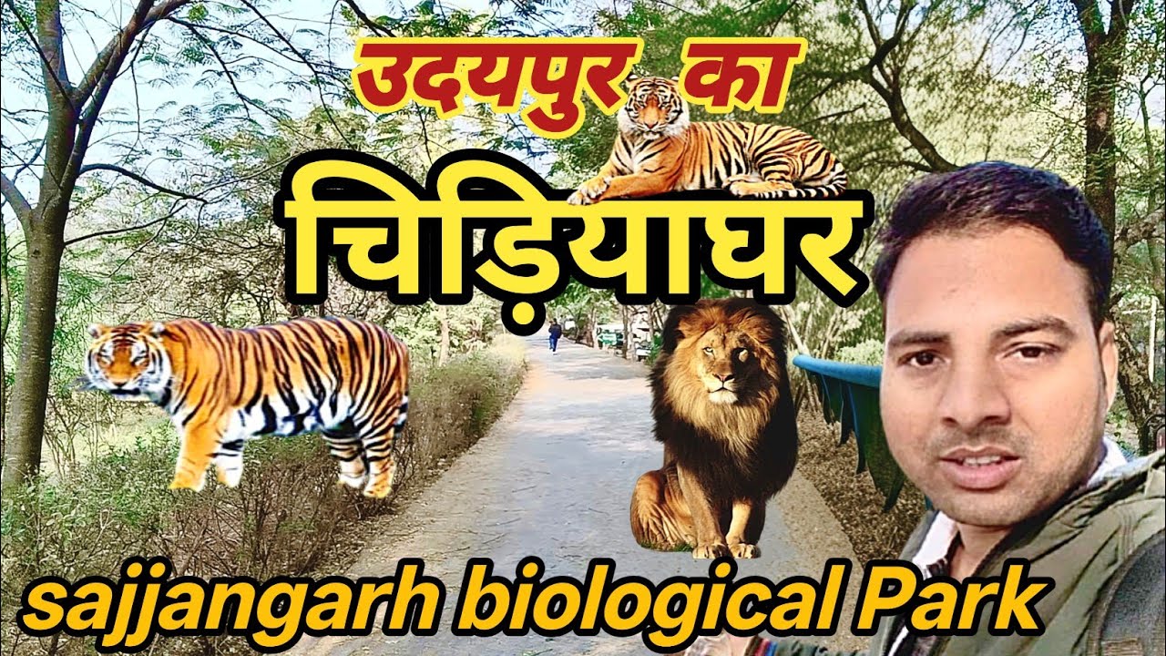 उदयपुर का चिड़ियाघर | The Most Beautiful Wildlife Sanctuary | Sajjangarh Biological Park | Zoo 