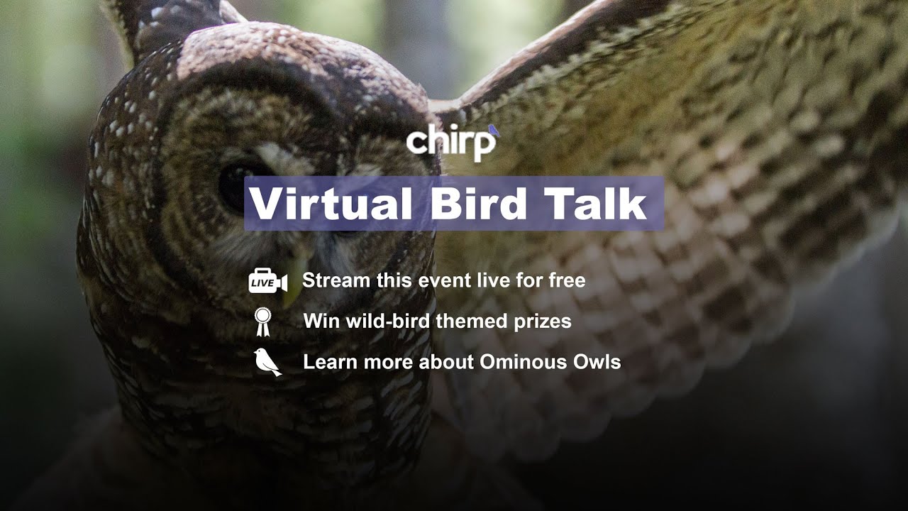 Virtual Bird Talk: Ominous Owls - Oct. 16, 2021 at 10AM PDT