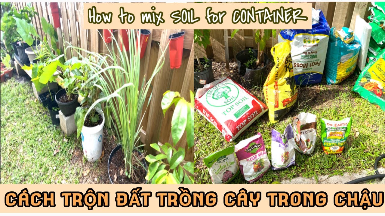 🇱🇷Cuộc Sống Mỹ|🌿CÁCH TRỘN ĐẤT TRỒNG CÂY Ở CHẬU CHO NGƯỜI MỚI BẮT ĐẦU | HOW TO MIX SOIL FOR CONTAINER