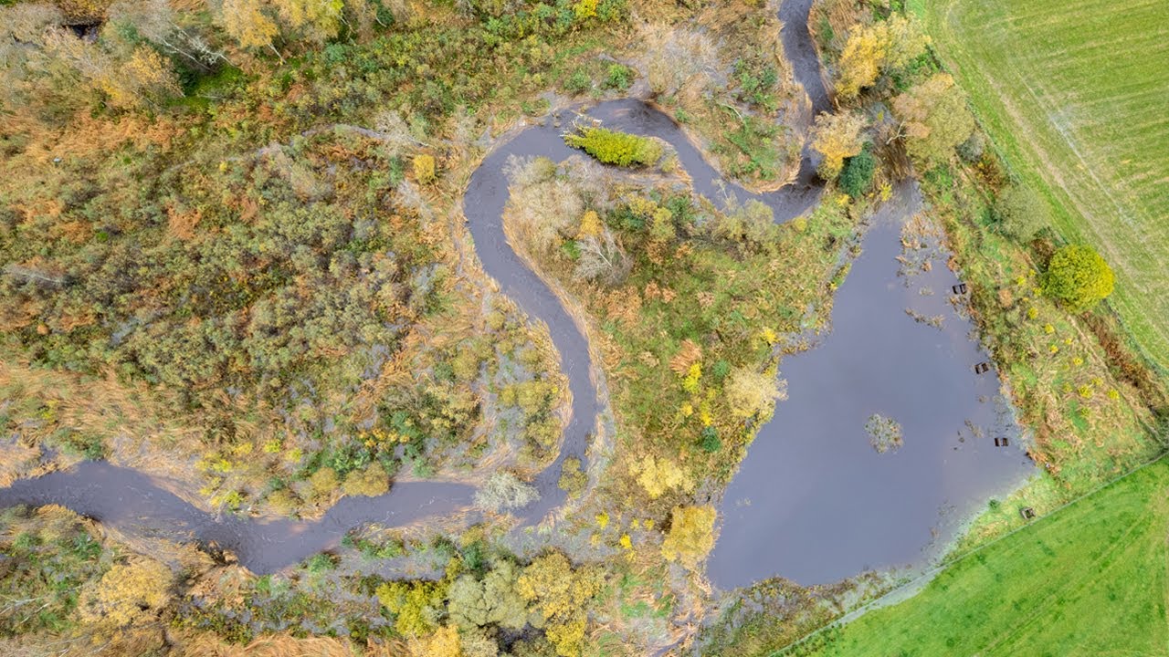 The Eddleston Water Project