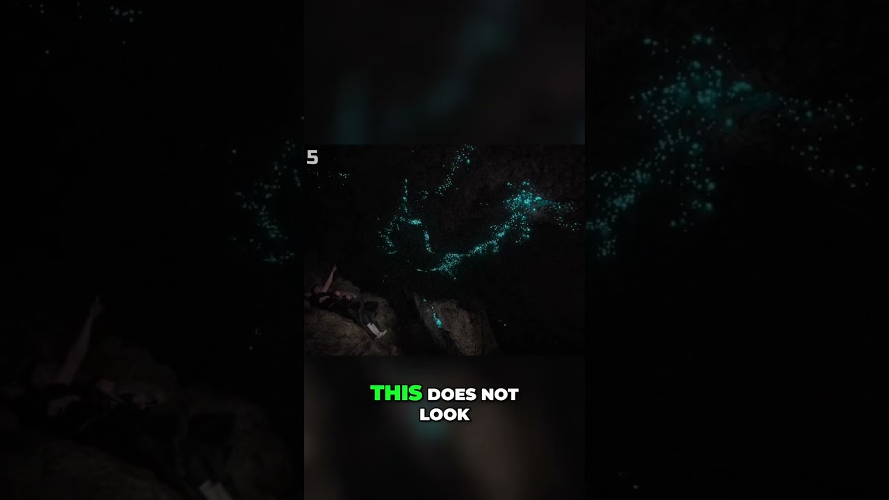 Unbelievable Glowworm Chamber: A Trek Worth Taking
