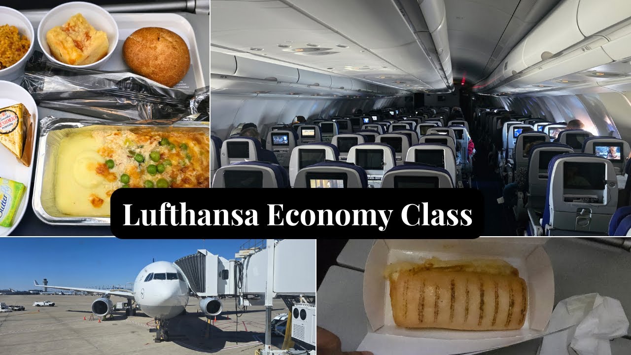 Lufthansa A330-300 FRA-STL Economy Class Trip Report