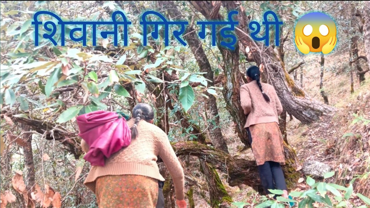 शिवानी गिर गई थी 😱pahadi lifestyle 🧬 vlogs ❣️