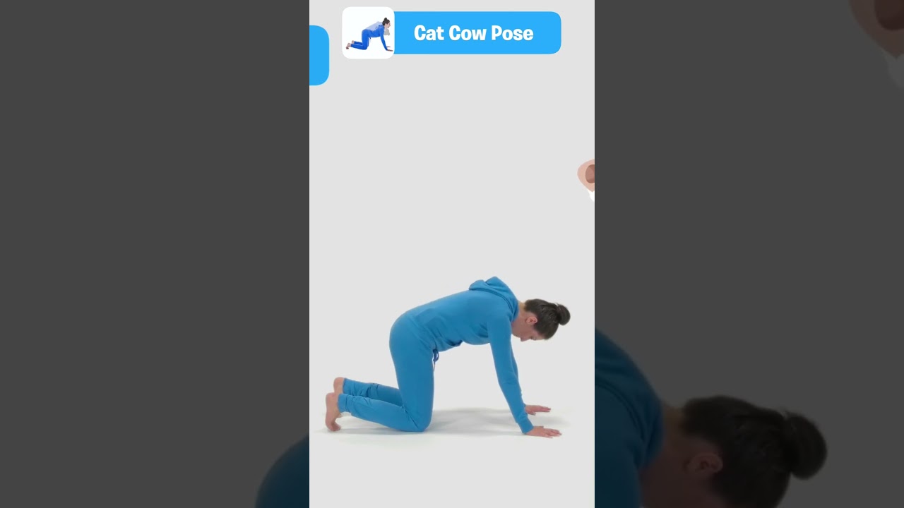 Cat-Cow Pose 🐱🐄 - Marjaryasana-Bitilasana #yoga