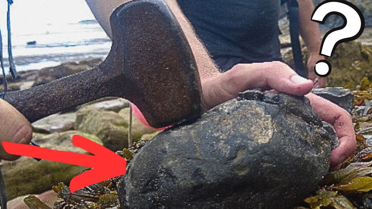 Splitting A Large Rock For Fossils - See What Happens 😲