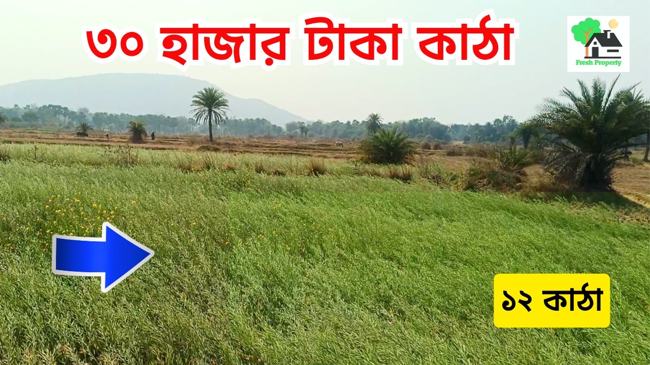 Fp - 1445 | ৩০ হাজার টাকা কাঠা | 9073 145 145