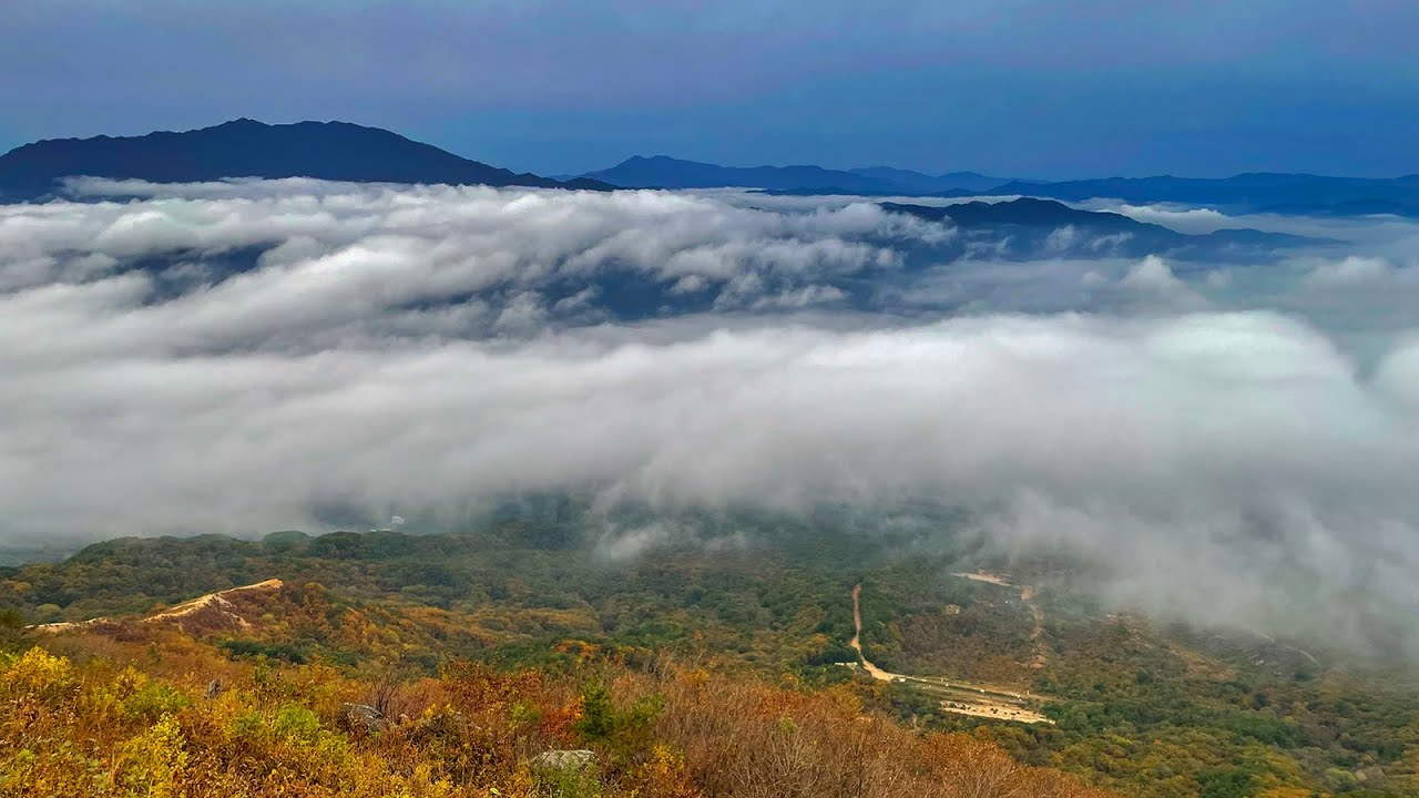 봉화산 운해쇼! 자연이 연출하는 환상적인 ‘운해의 무대’ #운해 #운해쇼 #일출 #운해명소 #일출명소