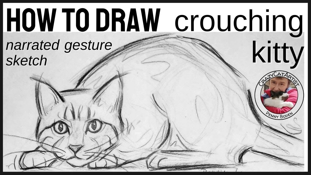 How to Draw Cat Ready to Pounce, crouching, hunting, full body front face side view Bengal with paws