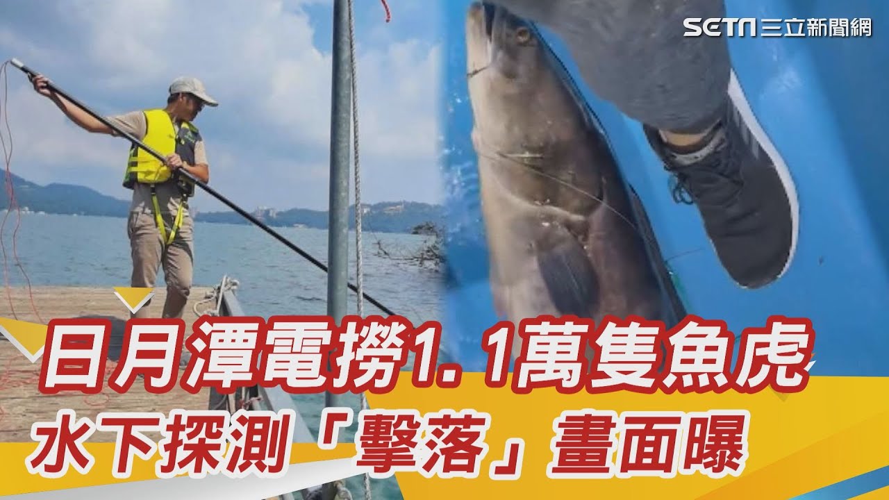 聲納立大功！日月潭電撈1.1萬隻魚虎、水下探測「擊落」畫面曝｜ @setn