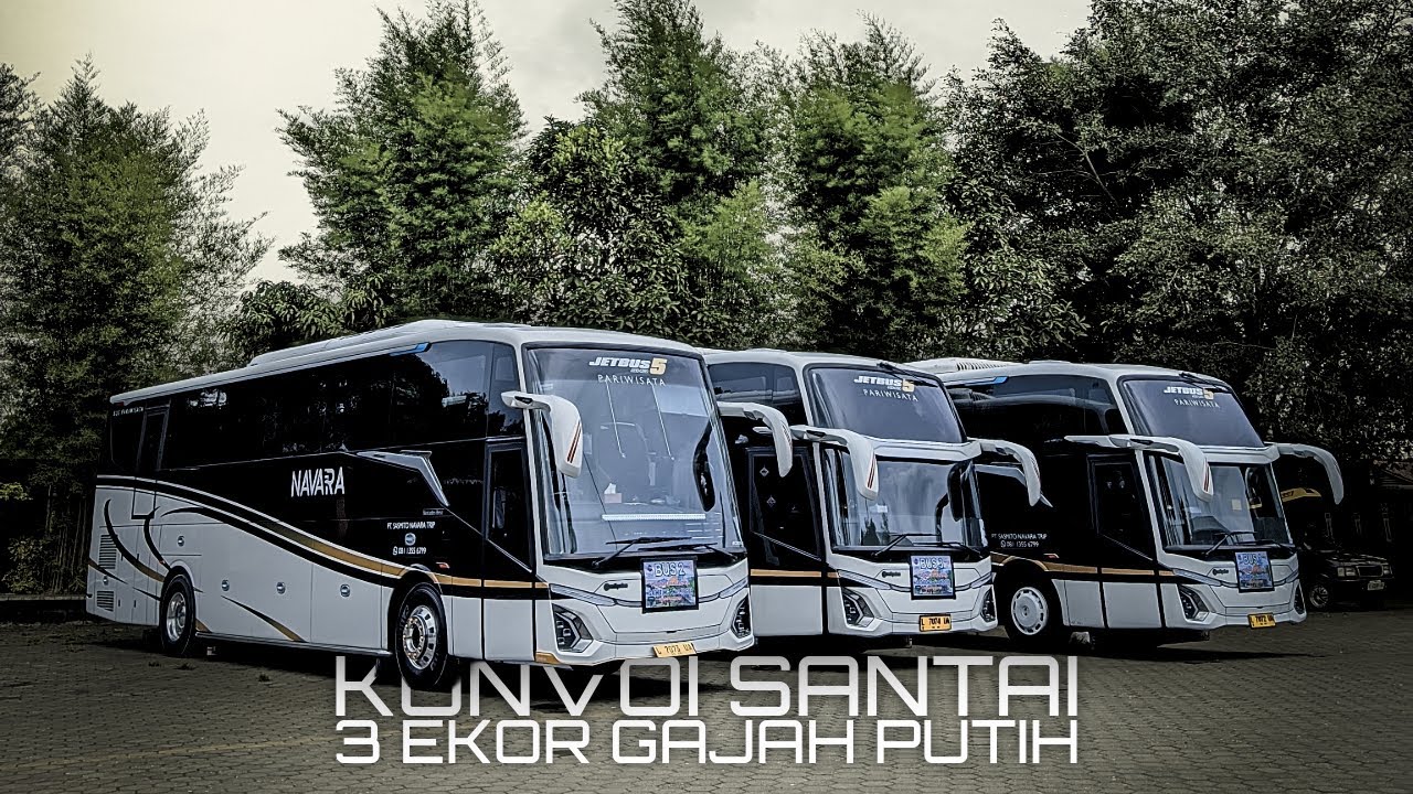 KONVOI SANTAI 3 UNIT, WAJIB KONVOI TANPA PUTUS‼️ | Trip Gresik-Jogja (Part 1)