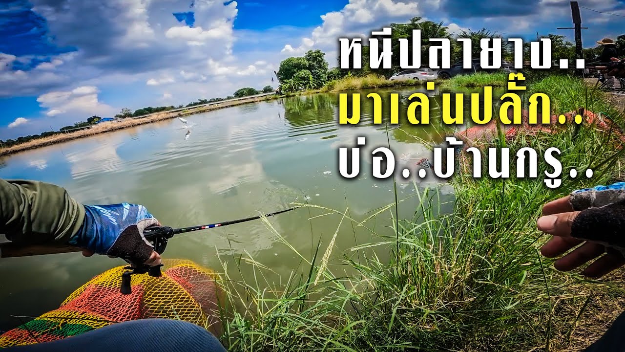 หนีน้ำเดือดจากปลายาง..มาเล่นน้ำเดือดด้วยปลั๊กดูบ้าง..ก็อร่อยเหมือนกันนะเนี้ยย@บ่อบ้านกรู